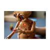 Picture of LEGO Ideas: E.T. the Extra-Terrestrial (21370)
