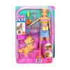 Picture of Mattel Barbie: Barbie Pets - Skate and Run Pup (JMJ44)