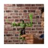 Picture of Hasbro Marvel: Spider-Man Brand New Day - Hulk Figure (G3396)