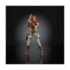 Picture of Mattel Masters Of The Universe Chronicles: Teela Figure (JKJ28)