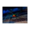 Picture of Spin Master Hexbots: Skitter Bot Scorpion (6076622)*