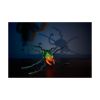 Picture of Spin Master Hexbots: Skitter Bot Scorpion (6076622)*